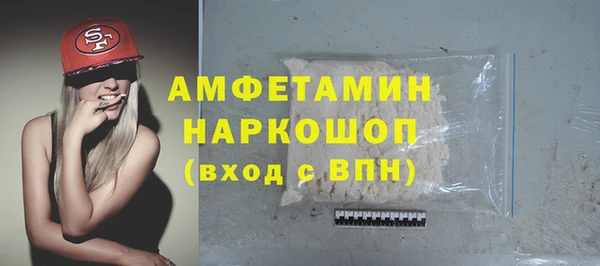 стаф Алексин