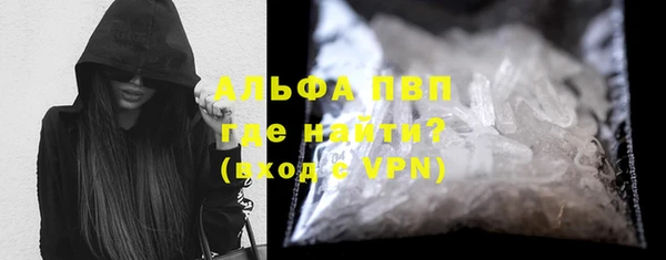 стаф Алексин