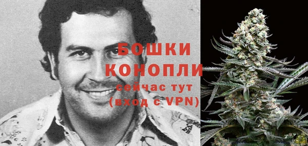 прущие грибы Переславль-Залесский